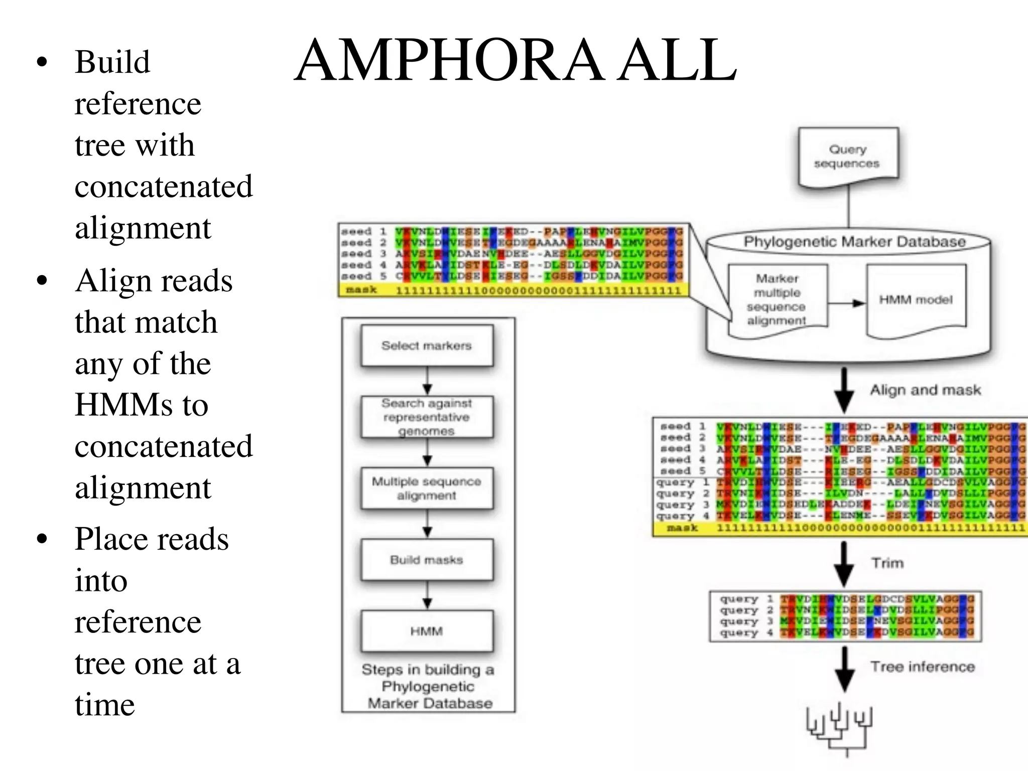 • Build           AMPHORA ALL
  reference
  tree with
  concatenated
  alignment
• Align reads
  that match
  any of the
  HMMs to
  concatenated
  alignment
• Place reads
  into
  reference
  tree one at a
  time
 