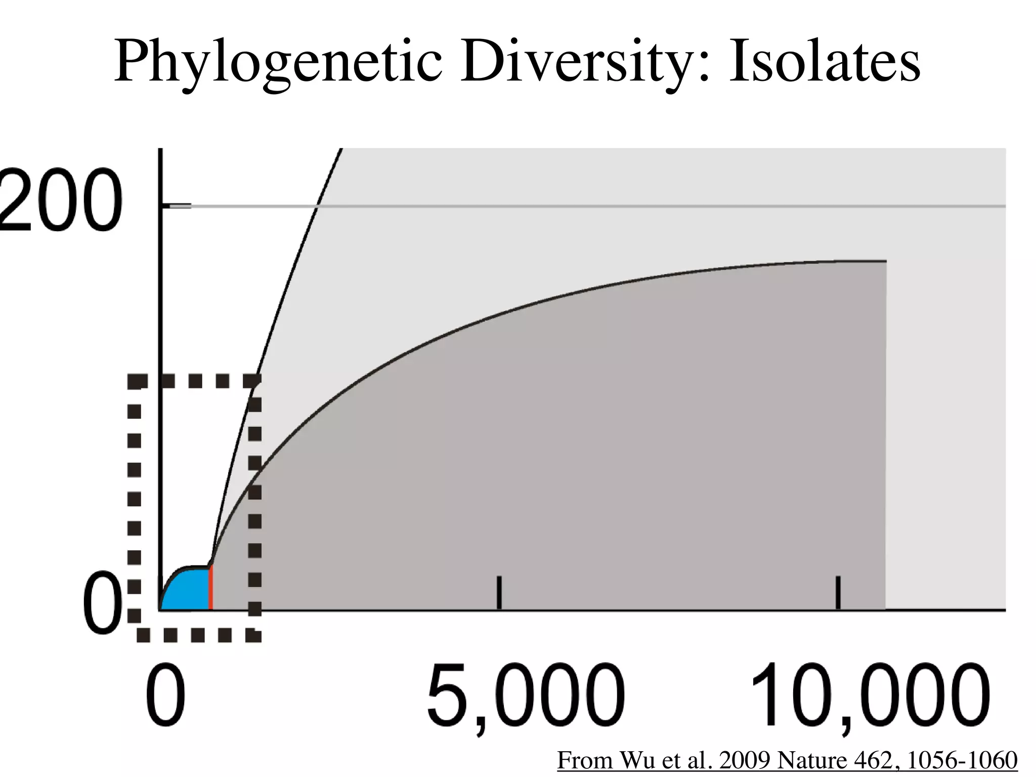 Phylogenetic Diversity: Isolates




                 From Wu et al. 2009 Nature 462, 1056-1060
 
