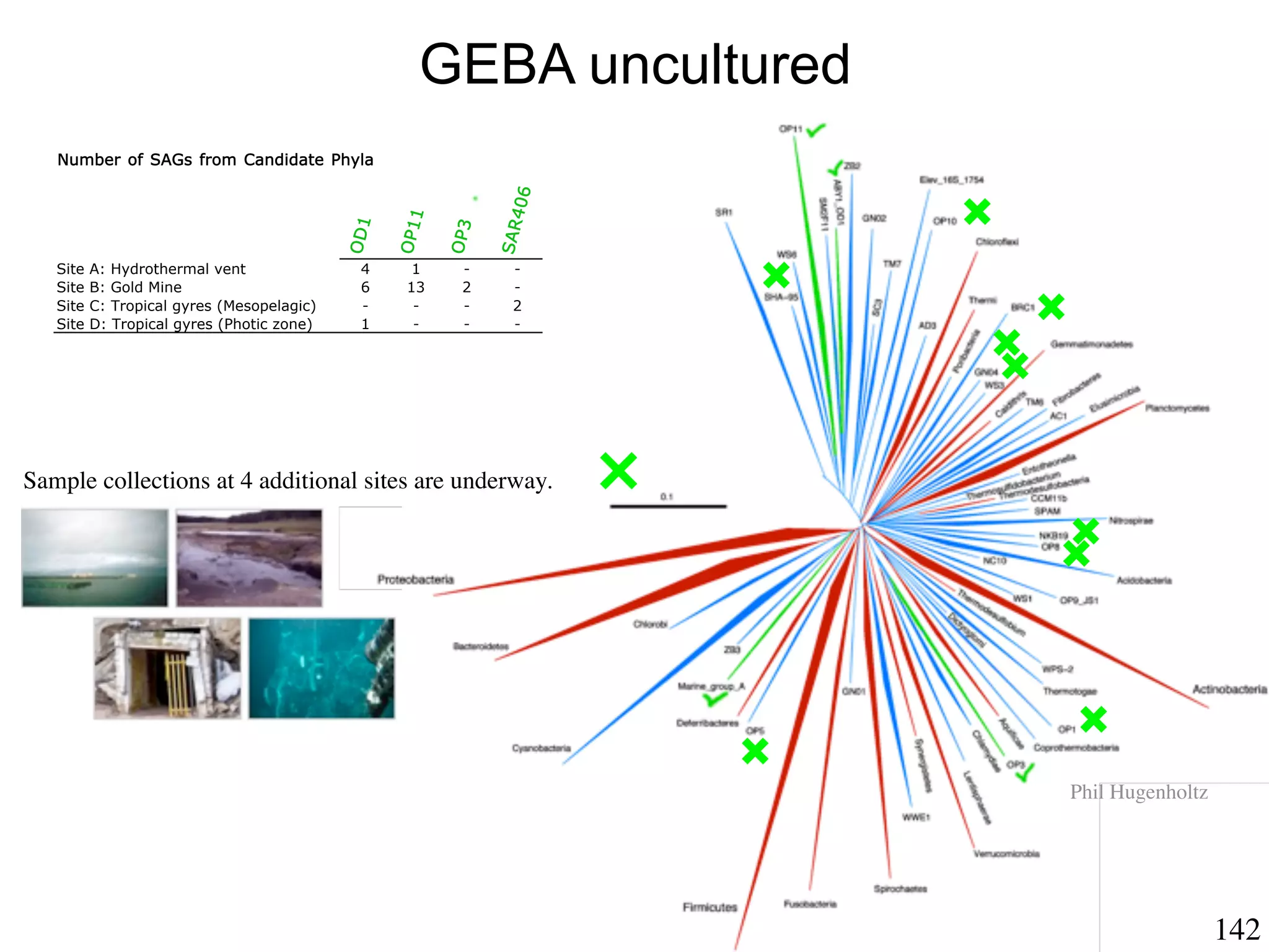 GEBA uncultured
   Number of SAGs from Candidate Phyla




                                                               406
                                                   1
                                            OD1




                                                              SAR
                                                        OP3
                                                  OP1
   Site   A: Hydrothermal vent               4      1    -     -
   Site   B: Gold Mine                       6     13    2     -
   Site   C: Tropical gyres (Mesopelagic)    -      -    -     2
   Site   D: Tropical gyres (Photic zone)    1      -    -     -




Sample collections at 4 additional sites are underway.




                                                                      Phil Hugenholtz




                                                                                        142
 