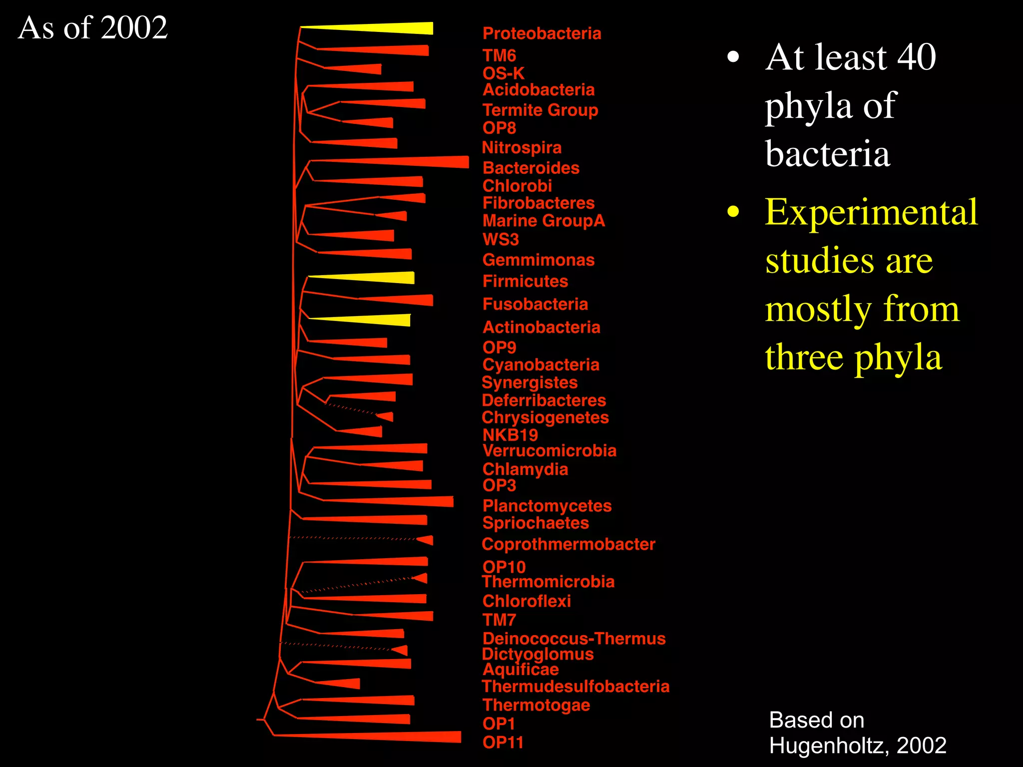 As of 2002   Proteobacteria
             TM6
             OS-K
                                     • At least 40
             Acidobacteria
             Termite Group
             OP8
                                       phyla of
             Nitrospira
             Bacteroides               bacteria
             Chlorobi
             Fibrobacteres
             Marine GroupA           • Experimental
             WS3
             Gemmimonas
             Firmicutes
                                       studies are
             Fusobacteria
             Actinobacteria
                                       mostly from
             OP9
             Cyanobacteria
             Synergistes
                                       three phyla
             Deferribacteres
             Chrysiogenetes
             NKB19
             Verrucomicrobia
             Chlamydia
             OP3
             Planctomycetes
             Spriochaetes
             Coprothmermobacter
             OP10
             Thermomicrobia
             Chloroﬂexi
             TM7
             Deinococcus-Thermus
             Dictyoglomus
             Aquiﬁcae
             Thermudesulfobacteria
             Thermotogae
             OP1                       Based on
             OP11                      Hugenholtz, 2002
 