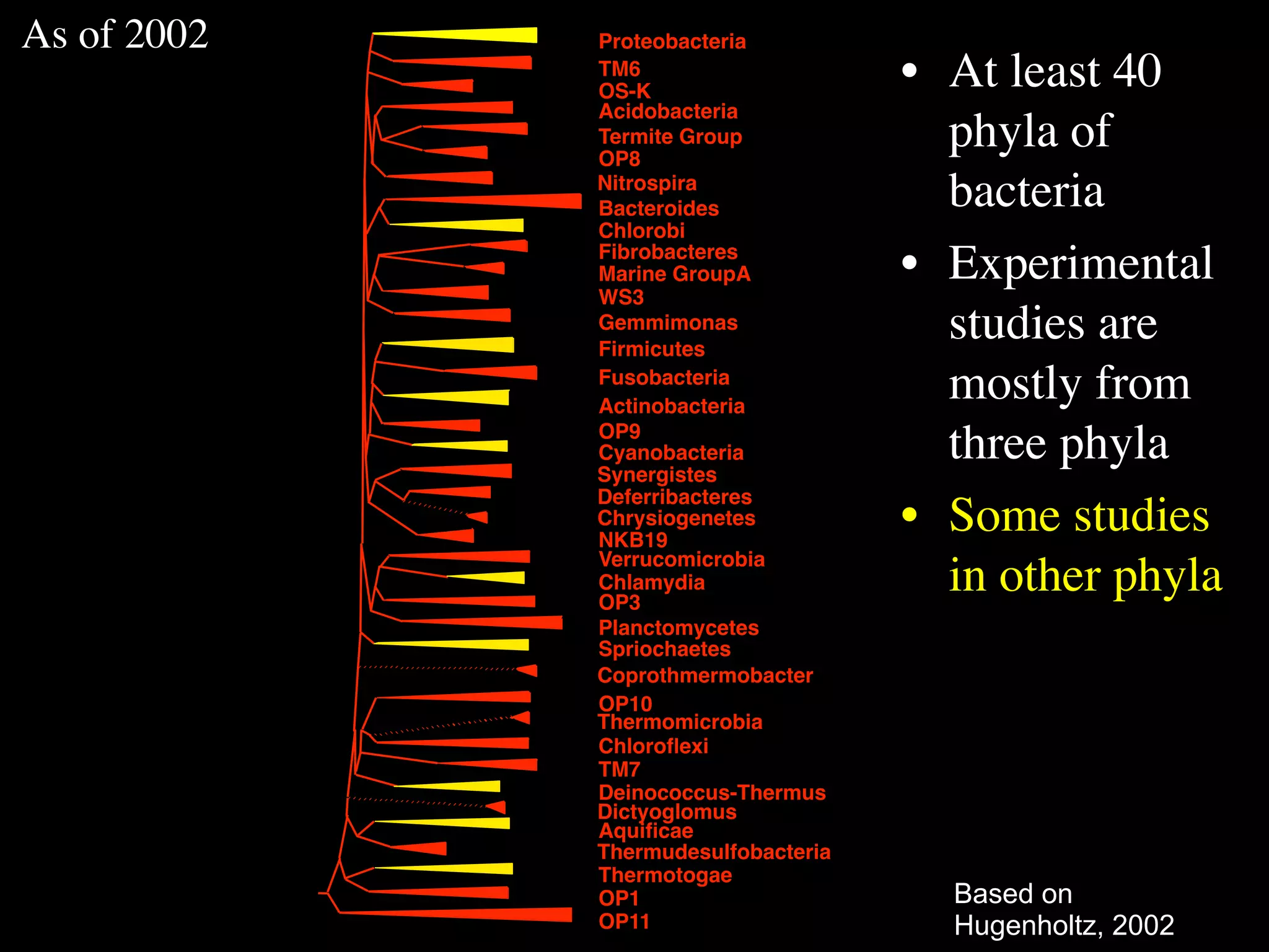 As of 2002   Proteobacteria
             TM6
             OS-K
                                     • At least 40
             Acidobacteria
             Termite Group
             OP8
                                       phyla of
             Nitrospira
             Bacteroides               bacteria
             Chlorobi
             Fibrobacteres
             Marine GroupA           • Experimental
             WS3
             Gemmimonas
             Firmicutes
                                       studies are
             Fusobacteria
             Actinobacteria
                                       mostly from
             OP9
             Cyanobacteria
             Synergistes
                                       three phyla
             Deferribacteres
             Chrysiogenetes
             NKB19
                                     • Some studies
             Verrucomicrobia
             Chlamydia
             OP3
                                       in other phyla
             Planctomycetes
             Spriochaetes
             Coprothmermobacter
             OP10
             Thermomicrobia
             Chloroﬂexi
             TM7
             Deinococcus-Thermus
             Dictyoglomus
             Aquiﬁcae
             Thermudesulfobacteria
             Thermotogae
             OP1                       Based on
             OP11                      Hugenholtz, 2002
 
