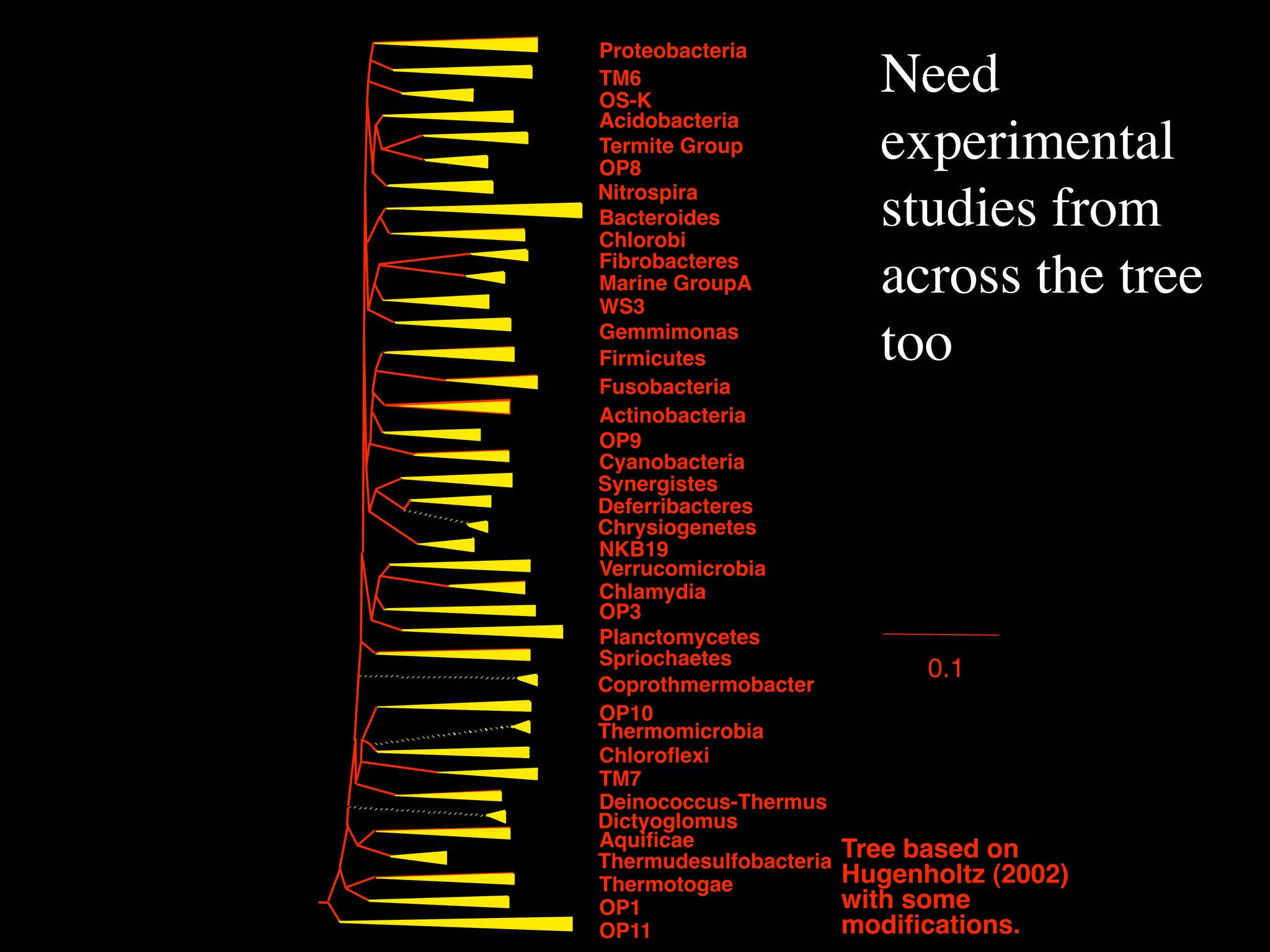 Proteobacteria
TM6
OS-K
                          Need
Acidobacteria
Termite Group
OP8
                          experimental
Nitrospira
Bacteroides
Chlorobi
                          studies from
Fibrobacteres
Marine GroupA
WS3
                          across the tree
Gemmimonas
Firmicutes                too
Fusobacteria
Actinobacteria
OP9
Cyanobacteria
Synergistes
Deferribacteres
Chrysiogenetes
NKB19
Verrucomicrobia
Chlamydia
OP3
Planctomycetes
Spriochaetes
                              0.1
Coprothmermobacter
OP10
Thermomicrobia
Chloroﬂexi
TM7
Deinococcus-Thermus
Dictyoglomus
Aquiﬁcae                Tree based on
Thermudesulfobacteria
Thermotogae             Hugenholtz (2002)
OP1                     with some
OP11                    modiﬁcations.
 