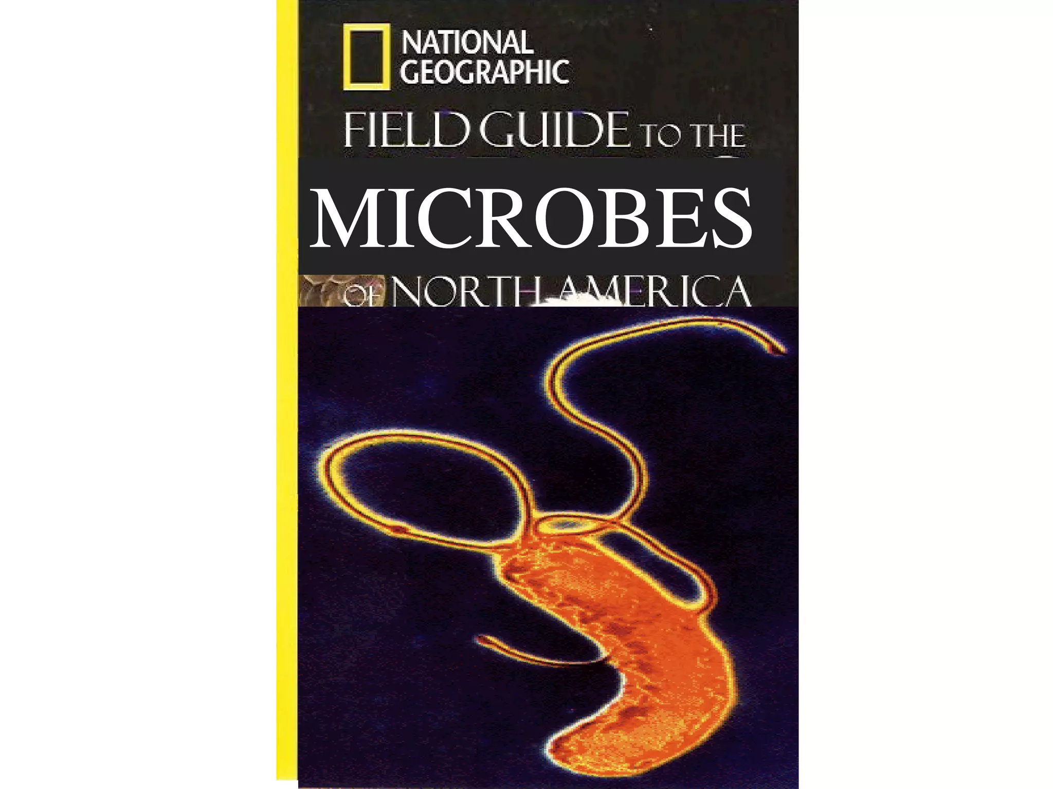 MICROBES
 