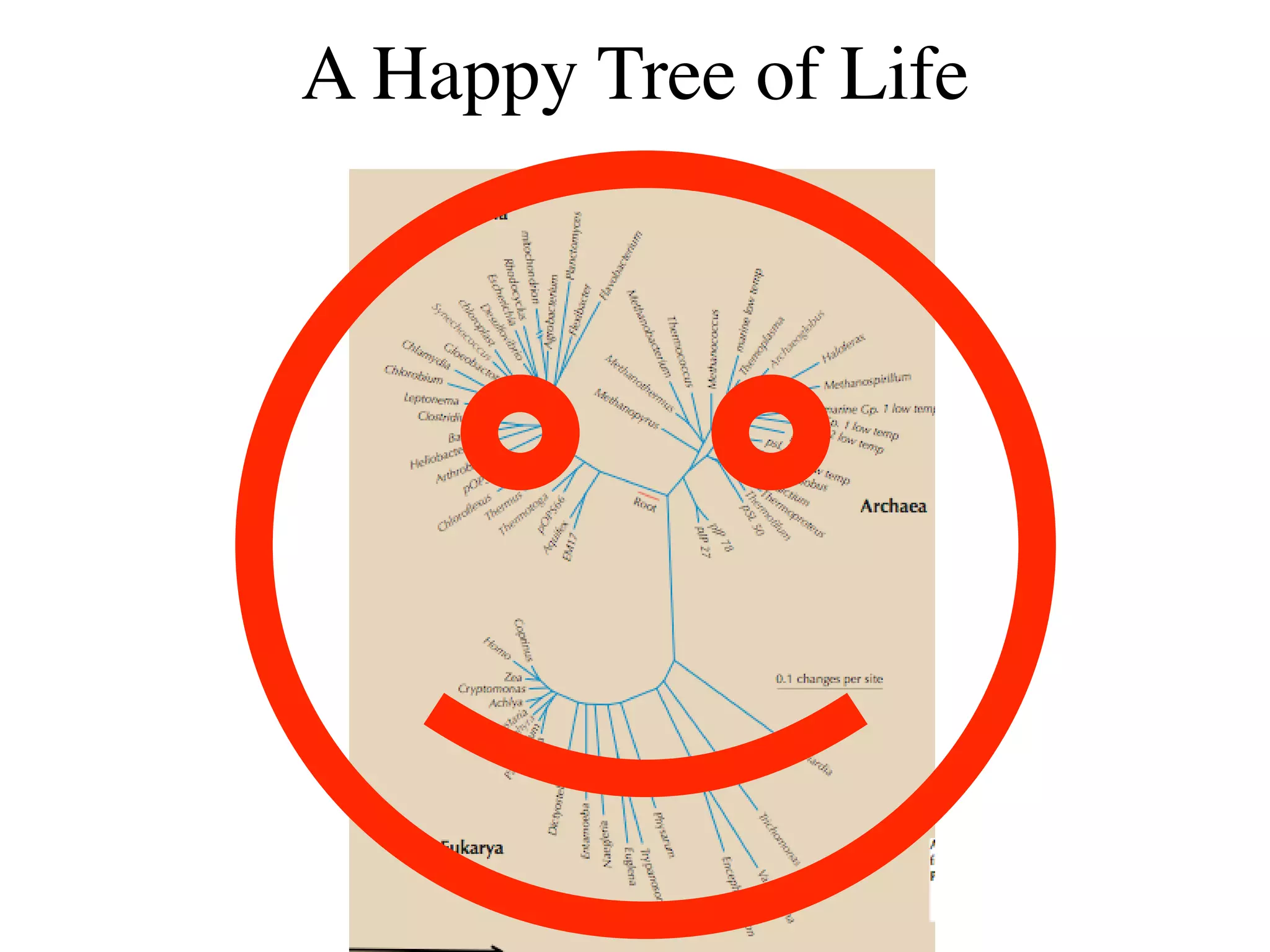 A Happy Tree of Life
 