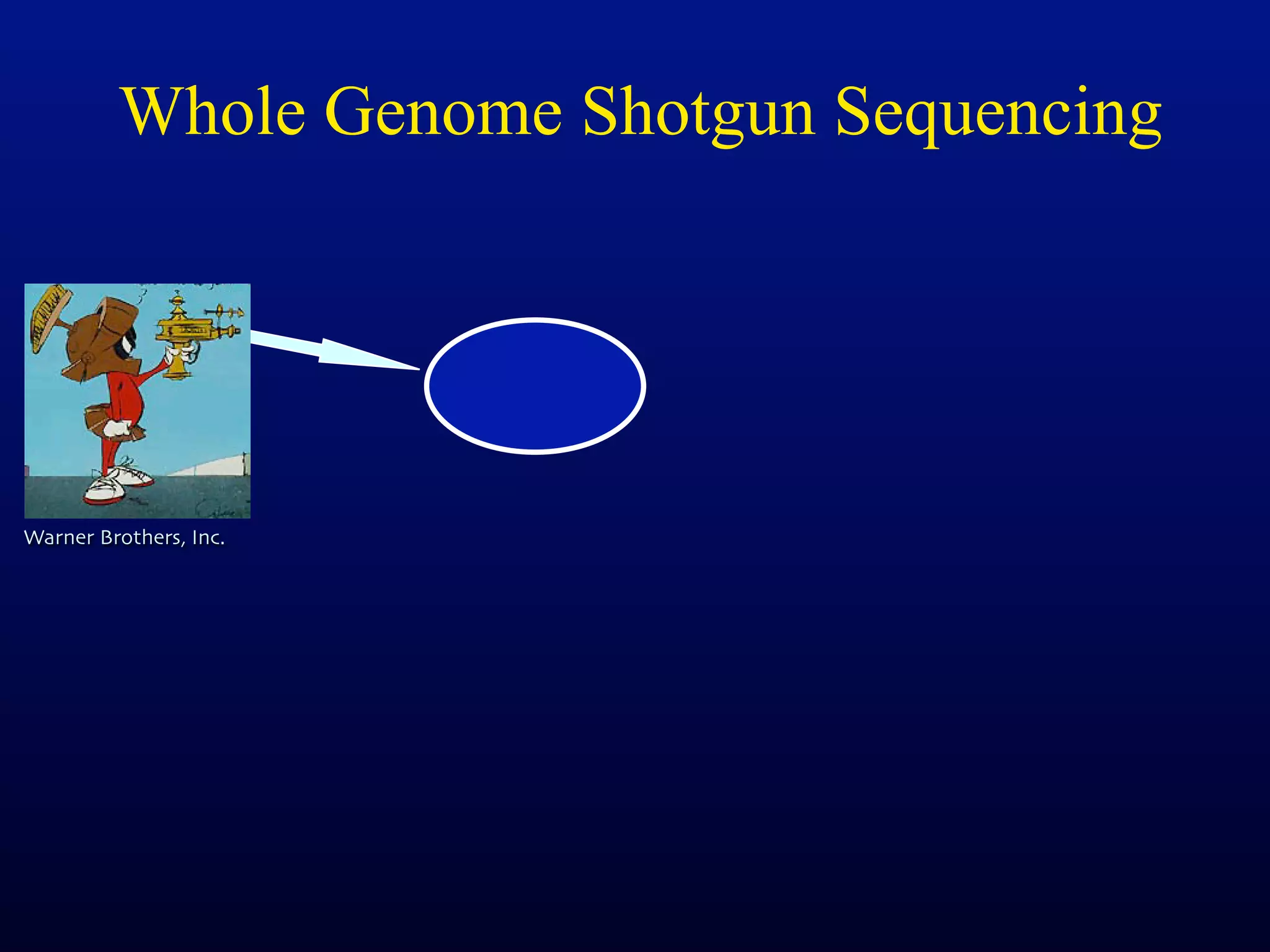 Whole Genome Shotgun Sequencing




Warner Brothers, Inc.
 