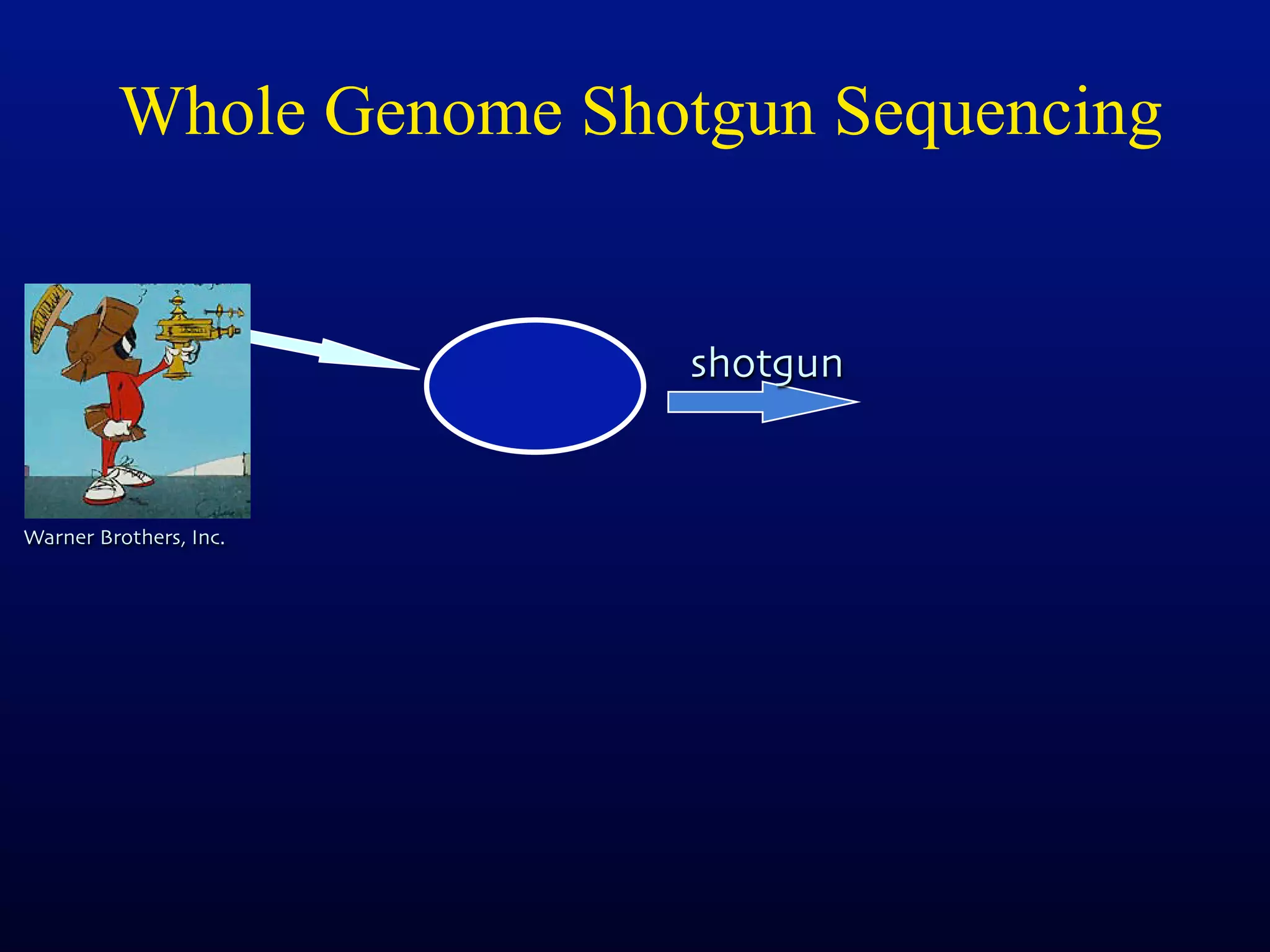 Whole Genome Shotgun Sequencing


                         shotgun


Warner Brothers, Inc.
 