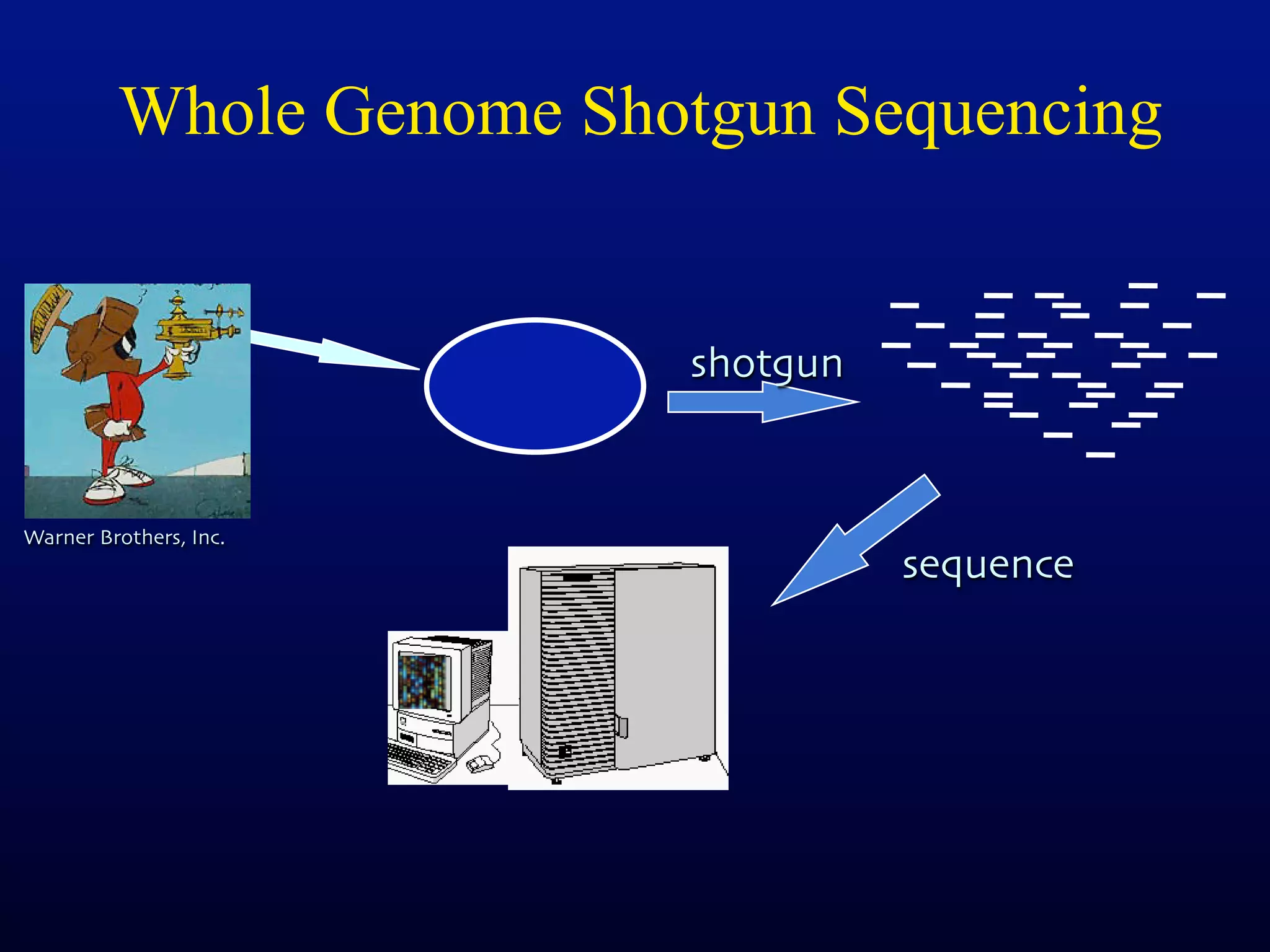 Whole Genome Shotgun Sequencing


                         shotgun


Warner Brothers, Inc.
                                   sequence
 