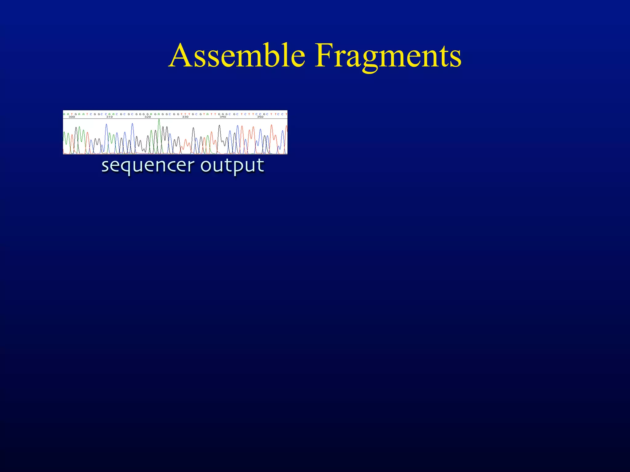 Assemble Fragments


sequencer output
 