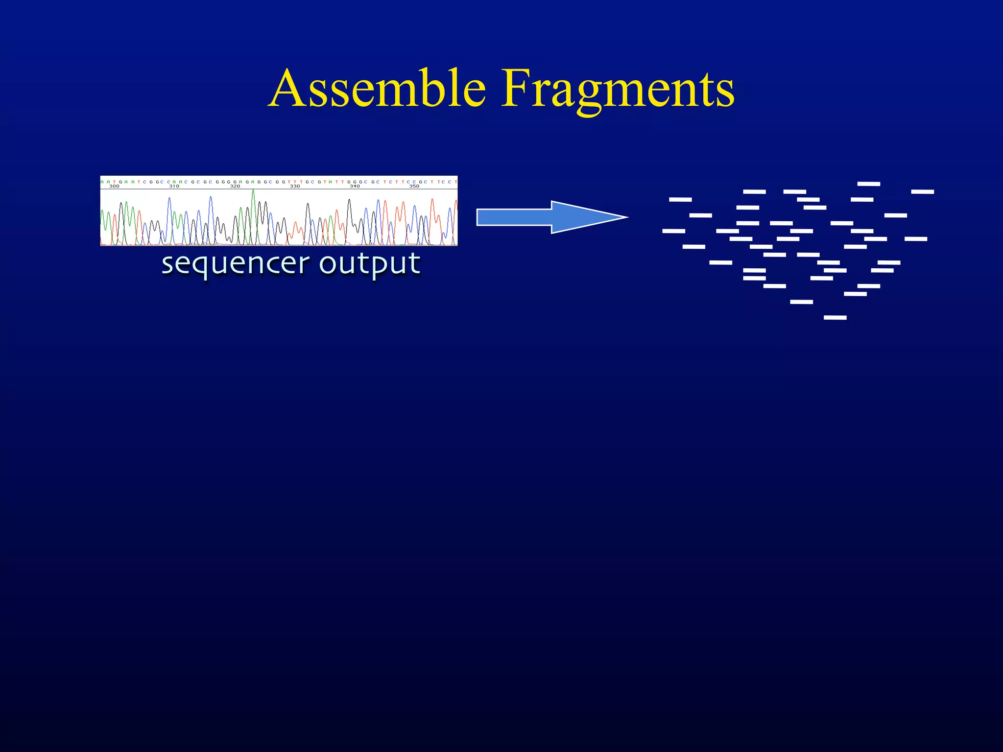 Assemble Fragments


sequencer output
 