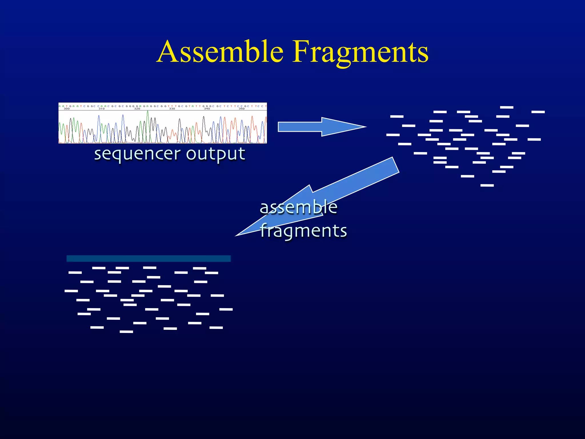 Assemble Fragments


sequencer output

                   assemble
                   fragments
 