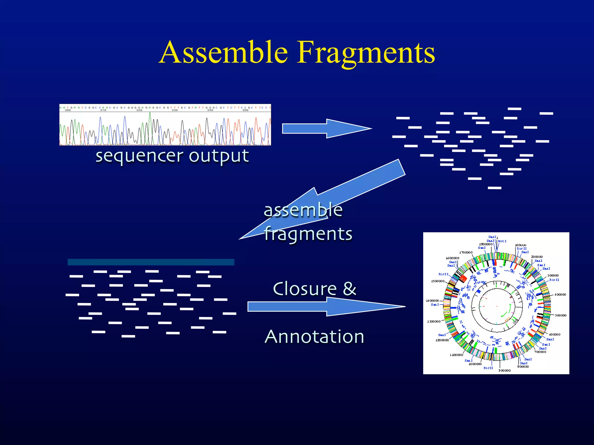 Assemble Fragments


sequencer output

                   assemble
                   fragments

                   Closure &

                   Annotation
 