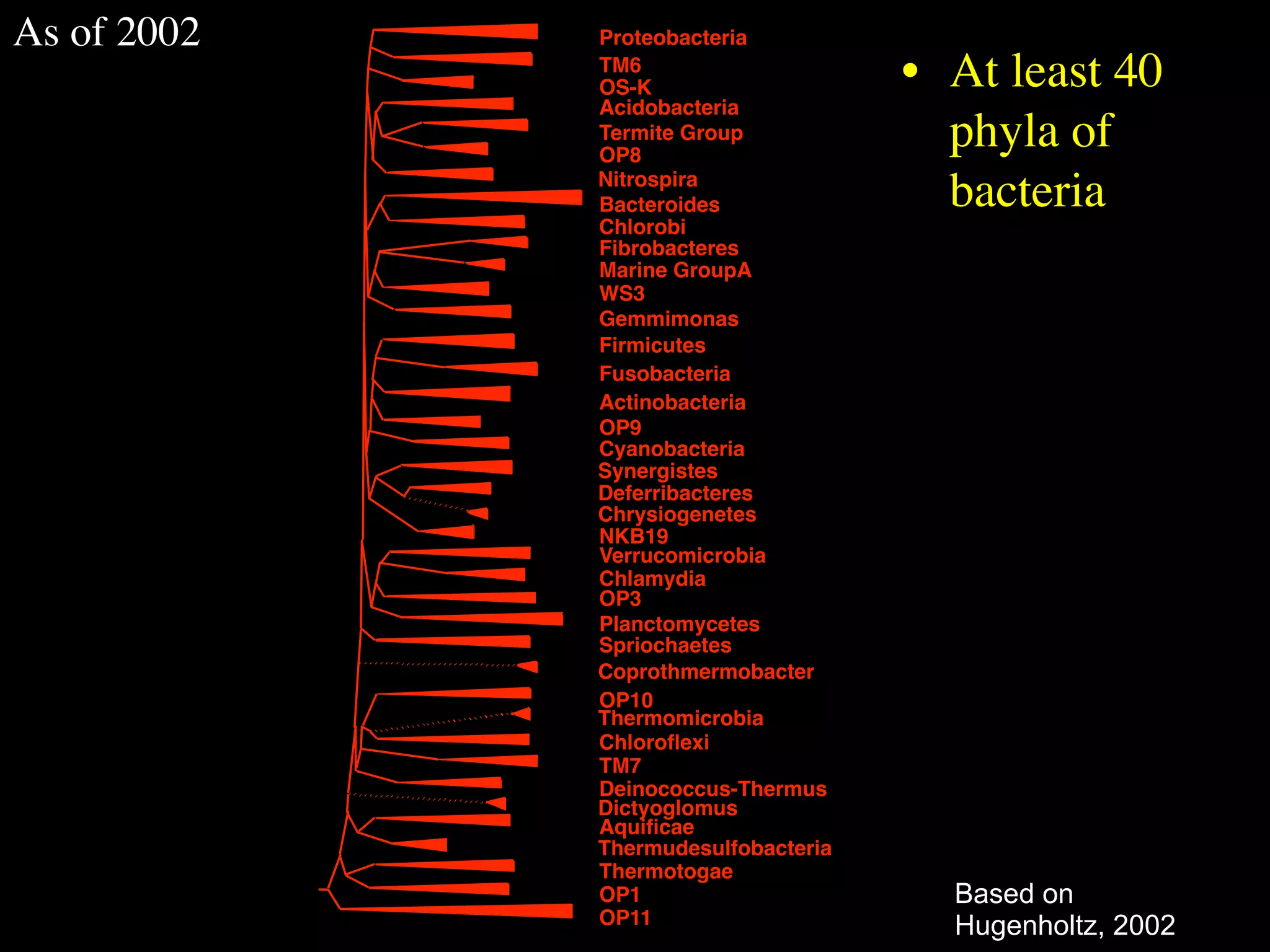As of 2002   Proteobacteria
             TM6
             OS-K                    • At least 40
             Acidobacteria
             Termite Group
             OP8
                                       phyla of
             Nitrospira
             Bacteroides               bacteria
             Chlorobi
             Fibrobacteres
             Marine GroupA
             WS3
             Gemmimonas
             Firmicutes
             Fusobacteria
             Actinobacteria
             OP9
             Cyanobacteria
             Synergistes
             Deferribacteres
             Chrysiogenetes
             NKB19
             Verrucomicrobia
             Chlamydia
             OP3
             Planctomycetes
             Spriochaetes
             Coprothmermobacter
             OP10
             Thermomicrobia
             Chloroﬂexi
             TM7
             Deinococcus-Thermus
             Dictyoglomus
             Aquiﬁcae
             Thermudesulfobacteria
             Thermotogae
             OP1                       Based on
             OP11                      Hugenholtz, 2002
 