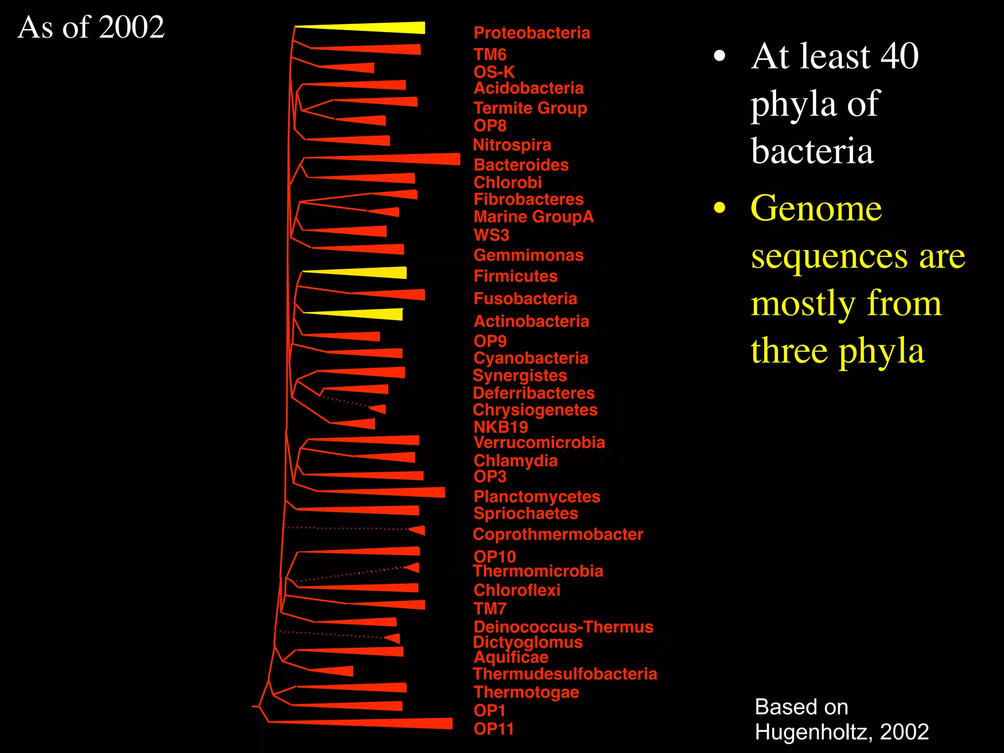As of 2002   Proteobacteria
             TM6
             OS-K
                                     • At least 40
             Acidobacteria
             Termite Group
             OP8
                                       phyla of
             Nitrospira
             Bacteroides               bacteria
             Chlorobi
             Fibrobacteres
             Marine GroupA           • Genome
             WS3
             Gemmimonas
             Firmicutes
                                       sequences are
             Fusobacteria
             Actinobacteria
                                       mostly from
             OP9
             Cyanobacteria
             Synergistes
                                       three phyla
             Deferribacteres
             Chrysiogenetes
             NKB19
             Verrucomicrobia
             Chlamydia
             OP3
             Planctomycetes
             Spriochaetes
             Coprothmermobacter
             OP10
             Thermomicrobia
             Chloroﬂexi
             TM7
             Deinococcus-Thermus
             Dictyoglomus
             Aquiﬁcae
             Thermudesulfobacteria
             Thermotogae
             OP1                       Based on
             OP11                      Hugenholtz, 2002
 