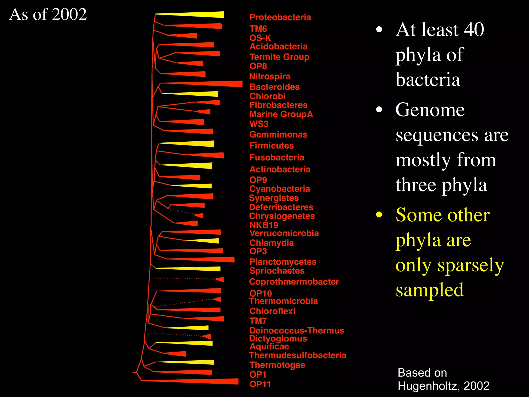 As of 2002   Proteobacteria
             TM6
             OS-K
                                     • At least 40
             Acidobacteria
             Termite Group
             OP8
                                       phyla of
             Nitrospira
             Bacteroides               bacteria
             Chlorobi
             Fibrobacteres
             Marine GroupA           • Genome
             WS3
             Gemmimonas
             Firmicutes
                                       sequences are
             Fusobacteria
             Actinobacteria
                                       mostly from
             OP9
             Cyanobacteria
             Synergistes
                                       three phyla
             Deferribacteres
             Chrysiogenetes
             NKB19
                                     • Some other
             Verrucomicrobia
             Chlamydia
             OP3
                                       phyla are
             Planctomycetes
             Spriochaetes              only sparsely
             Coprothmermobacter
             OP10
             Thermomicrobia
                                       sampled
             Chloroﬂexi
             TM7
             Deinococcus-Thermus
             Dictyoglomus
             Aquiﬁcae
             Thermudesulfobacteria
             Thermotogae
             OP1                       Based on
             OP11                      Hugenholtz, 2002
 
