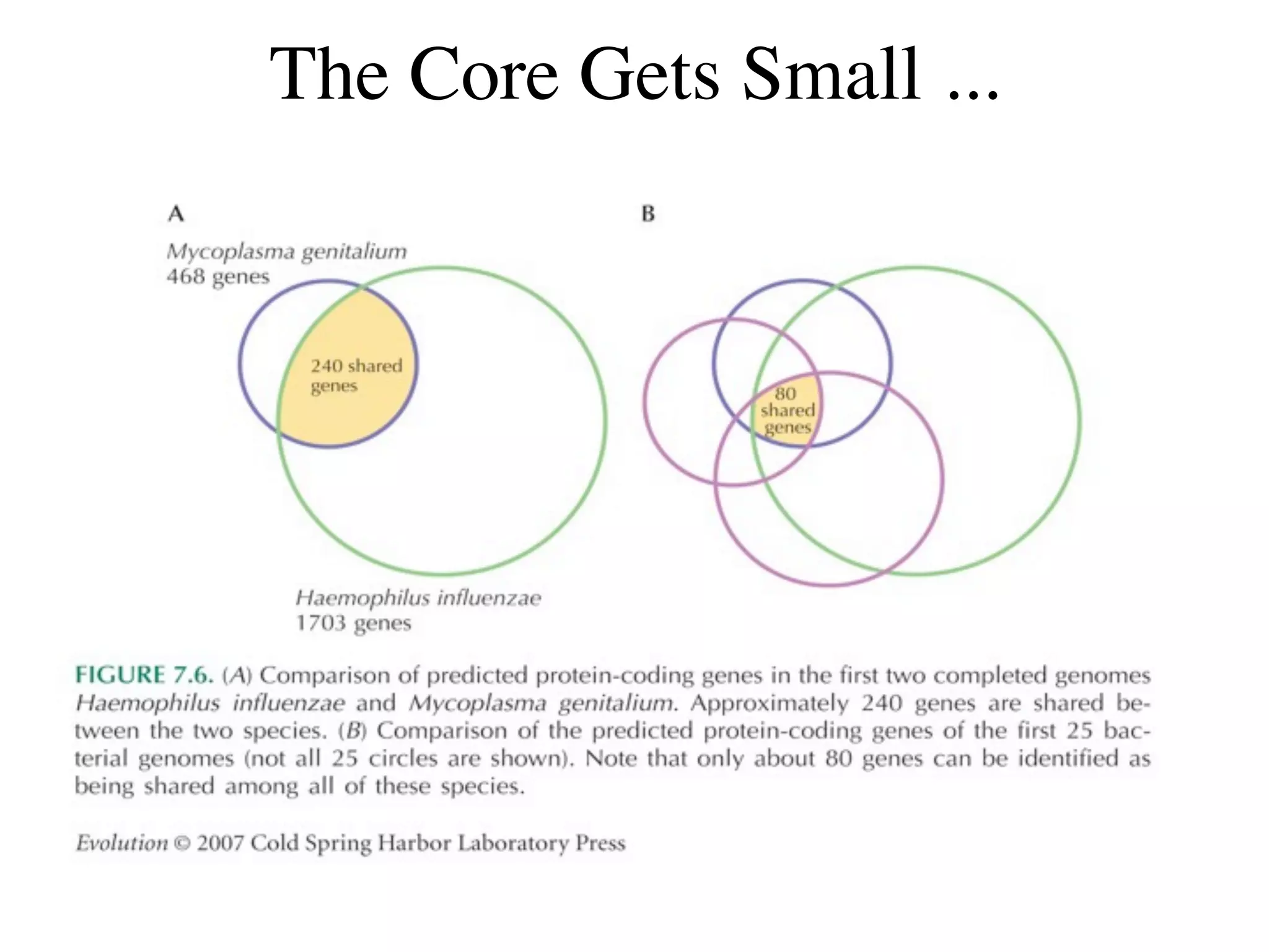 The Core Gets Small ...
 