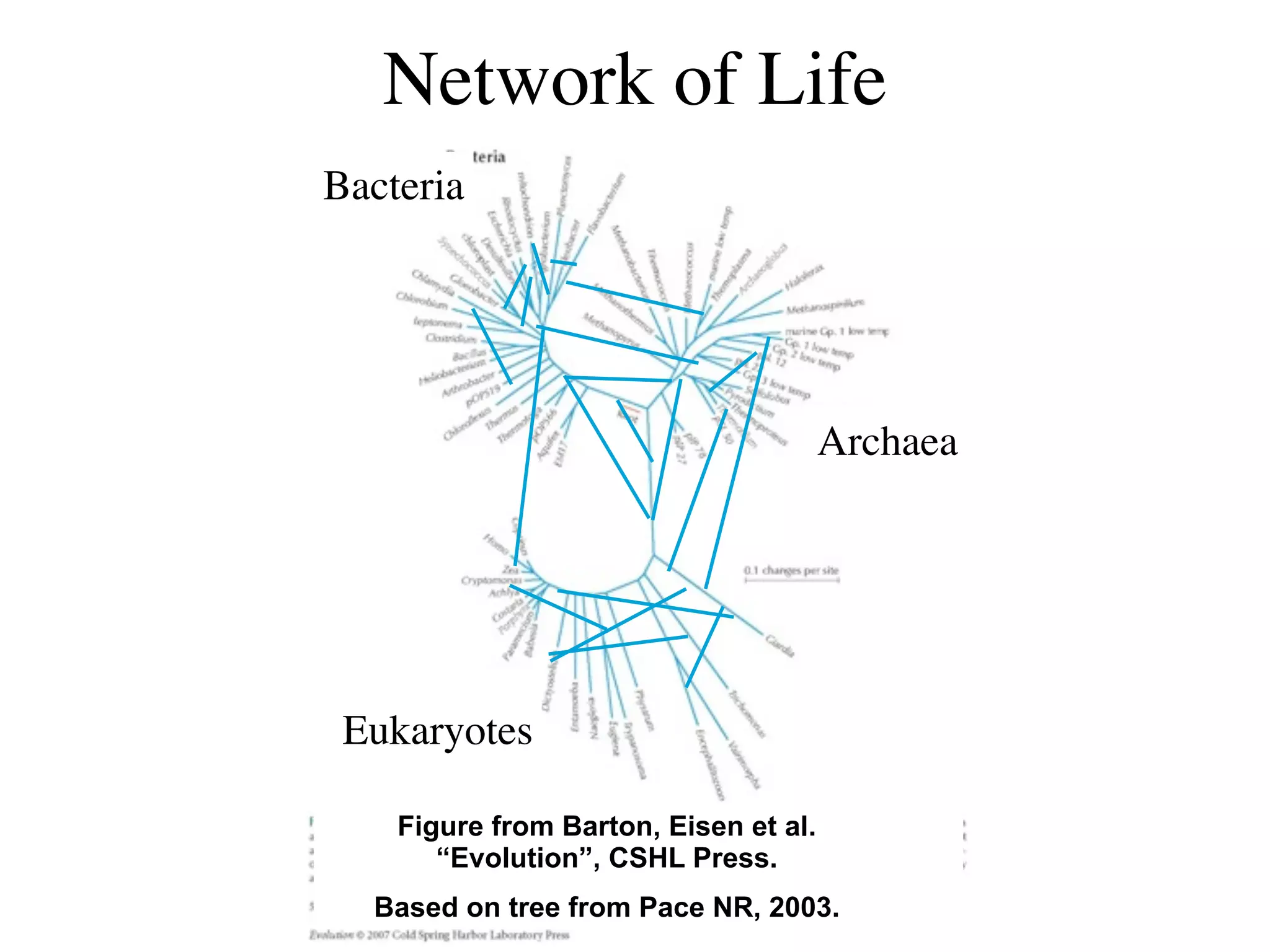 Network of Life
Bacteria




                                       Archaea




 Eukaryotes

    Figure from Barton, Eisen et al.
       “Evolution”, CSHL Press.
  Based on tree from Pace NR, 2003.
 