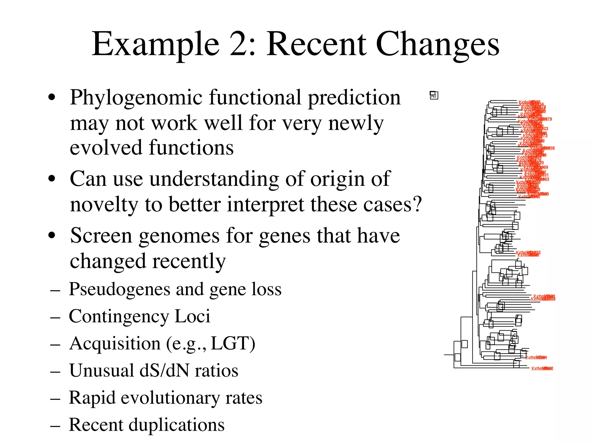 Example 2: Recent Changes
• Phylogenomic functional prediction         NJ



                                                                *     **
                                                                                       V.cholerae
                                                                                                VC
                                                                                        V.cholerae
                                                                                                VC
                                                                                                  0512
                                                                                                  A1034
                                                                                         V.cholerae
                                                                                                  VC
                                                                                         V.cholerae
                                                                                                  VC
                                                                                         V.cholerae
                                                                                                 VC
                                                                                                    A0974
                                                                                                   A0068
                                                                                            V.cholerae
                                                                                                    VC0825
                                                                                                   0282


  may not work well for very newly
                                                                                      V.cholerae
                                                                                               VCA0906
                                                                                              V.cholerae
                                                                                                       VC
                                                                                                        A0979
                                                                                      V.cholerae
                                                                                               VCA1056
                                                                                         V.cholerae
                                                                                                 VC1643
                                                                                          V.cholerae
                                                                                                   VC
                                                                                                    2161
                                                                                           V.cholerae
                                                                                                   VCA0923
                                                                      **       **        V.cholerae
                                                                                                 VC0514
                                                                                            V.cholerae
                                                                                                     VC1868
                                                                                           V.cholerae
                                                                                                   VCA0773
                                                                                         V.cholerae
                                                                                                 VC1313


  evolved functions
                                                                                           V.cholerae
                                                                                                   VC1859
                                                                                        V.cholerae
                                                                                                 VC
                                                                                                  1413
                                                                                      V.cholerae
                                                                                               VCA0268
                                                                                                V.cholerae
                                                                                                        VC
                                                                                                         A0658
                                                              **                           V.cholerae
                                                                                                   VC1405
                                                                                          V.cholerae
                                                                                                   VC
                                                                                                    1298
                                                            *                               V.cholerae
                                                                                     V.cholerae
                                                                                              VCA0864
                                                                                                     VC
                                                                                                      1248
                                                                                     V.cholerae
                                                                                              VCA0176
                                                                                        V.cholerae
                                                                                                VCA0220
                                                                   **                  V.cholerae
                                                                                                VC1289
                                                                                           V.cholerae
                                                                                                   VC1069
                                                                                                     A
                                                                      **                 V.cholerae
                                                                                                 VC2439


• Can use understanding of origin of
                                                                                            V.cholerae
                                                                                                    VC967
                                                                                                      1
                                                                                            V.cholerae
                                                                                                    VCA0031
                                                                                        V.cholerae
                                                                                                 VC
                                                                                                  1898
                                                                                            V.cholerae
                                                                                                    VCA0663
                                                                                     V.cholerae
                                                                                             VC0988
                                                                                               A
                                                                                     V.cholerae
                                                                                              VC0216
                                                                                     V.cholerae
                                                                                              VC0449
                                                              *                     V.cholerae
                                                                                             VCA0008
                                                                                     V.cholerae
                                                                                              VC1406
                                                                                              V.cholerae
                                                                                                       VC
                                                                                                        1535


  novelty to better interpret these cases?
                                                                                       V.cholerae
                                                                                                VC
                                                                                                 0840
                                                                                                  B.subtilis
                                                                                                        gi2633766
                                                                                              Synechocystis
                                                                                                        sp.
                                                                                                          gi1001299
                                                                                     Synechocystis
                                                                                                sp.gi1001300
                                                                 *                            Synechocystis
                                                                                                        sp.
                                                                                                          gi1652276
                                                            *                           Synechocystis
                                                                  *                    H.pylori sp.  gi1652103
                                                                                             gi2313716
                                                                                       H.pylori
                                                                                            99 gi4155097
                                                                                    **C.jejuni
                                                             **                    C.jejuniCj1190c
                                                                                         Cj1110c
                                                                                     A.fulgidus
                                                                                             gi2649560
                                                                                     A.fulgidus
                                                                                             gi2649548
                                                                                   ** B.subtilis
                                                                                               gi2634254


• Screen genomes for genes that have
                                                                                     B.subtilis
                                                                                            gi2632630
                                                                                     B.subtilis
                                                                                             gi2635607
                                                                                     B.subtilis
                                                                                            gi2635608
                                                                                      B.subtilis
                                                                           ** ** B.subtilis  gi2635609
                                                                         **                 gi2635610
                                                                                          B.subtilis
                                                                                   E.coli        gi2635882
                                                                                   E.coligi1788195
                                                                                        gi2367378
                                                                        * **       E.coligi1788194
                                                                                       E.coli A1092
                                                                                            gi1787690
                                                                                     V.cholerae
                                                                                              VC


  changed recently
                                                                                      V.cholerae
                                                                                               VC0098
                                                                                      E.coli
                                                                                           gi1789453
                                                                                         H.pylori
                                                                                               gi2313186
                                                                                         H.pylori
                                                                                              99 gi4154603
                                                                                             C.jejuni
                                                                                     ** C.jejuni   Cj0144
                                                                                                   Cj1564
                                                                                             C.jejuni
                                                                              **         C.jejuniCj0262c
                                                                                           ** Cj1506c
                                                                                          H.pylori
                                                                                                gi2313163
                                                                        *                 H.pylori
                                                                                               99 gi4154575
                                                                                       **H.pylori
                                                                                               gi2313179
                                                                           **            H.pylori
                                                                                              99 gi4154599

–   Pseudogenes and gene loss                                                         ** C.jejuni Cj0019c
                                                                                                  C.jejuni
                                                                                              C.jejuni Cj0951c
                                                                                                    Cj0246c
                                                                                             B.subtilis
                                                                                                    gi2633374
                                                                                              T.maritima
                                                                                                      TM0014
                                                                                                   V.cholerae
                                                                                                          VC
                                                                                                 V.cholerae
                                                                                                         VC
                                                                                                            1403
                                                                                                          A1088
                                                                                                  T.pallidum
                                                                                                         gi3322777
                                                                                                         T.pallidum
                                                                        **                        T.pallidum gi3322939
                                                                                                         gi3322938
                                                                      **                           B.burgdorferi
                                                                                                            gi2688522

–   Contingency Loci
                                                                                                      T.pallidum
                                                                                                             gi3322296
                                                                                                  B.burgdorferi
                                                             *                          T.maritima gi2688521
                                                                                                TM0429
                                                                                        T.maritima
                                                                                      **T.maritima
                                                                                                TM0918
                                                                                     ** TM1428
                                                                                    T.maritima  TM0023
                                                               *                       T.maritima
                                                                                               TM1143
                                                                                    T.maritima
                                                                                             TM1146
                                                                                       P.abyssi
                                                                                              PAB1308
                                                                                       P.horikoshii
                                                                                                gi3256846
                                                                                  ** P.horikoshii
                                                                                      P.abyssi
                                                                                             PAB1336

–   Acquisition (e.g., LGT)
                                                                       **                      gi3256896
                                                              **                   **P.abyssi
                                                                                            PAB2066
                                                       **                            P.horikoshii
                                                                                              gi3258290
                                                            *                   ** P.abyssi  PAB1026
                                                                                       P.horikoshii
                                                                                                gi3256884
                                                                                **               D.radiodurans
                                                                                                          DRA00354
                                                                                                D.radiodurans
                                                                                                          DRA0353
                                                                                          ** D.radiodurans
                                                  **                **                               VC DRA0352
                                                                                            V.cholerae 1394
                                                                                           P.abyssi
                                                                                                 PAB1189
                                                                                           P.horikoshii
                                                                                                    gi3258414


–   Unusual dS/dN ratios
                                                                                    ** B.burgdorferi
                                                                                                 gi2688621
                                                                                               M.tuberculosis
                                                                                                         gi1666149
                                                                                                 V.cholerae
                                                                                                         VC
                                                                                                          0622




–   Rapid evolutionary rates
–   Recent duplications
 