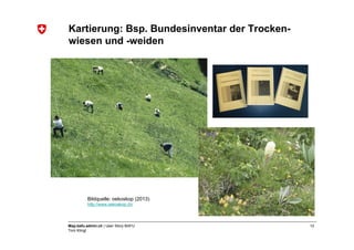 Kartierung: Bsp. Bundesinventar der Trocken-
wiesen und -weiden




          Bildquelle: oekoskop (2013)
          http://www.oekoskop.ch/




Map.bafu.admin.ch | User Story BAFU            12
Tom Klingl
 