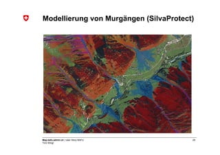 Modellierung von Murgängen (SilvaProtect)




Map.bafu.admin.ch | User Story BAFU     29
Tom Klingl
 