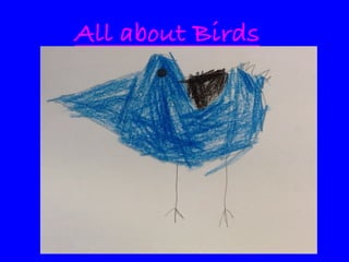 All about Birds

 