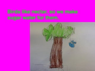 Birds like nectar, so we make
sugar water for them.

 