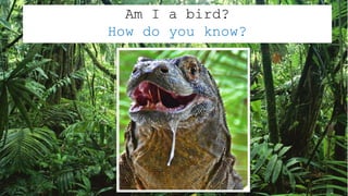 Am I a bird?
How do you know?
 