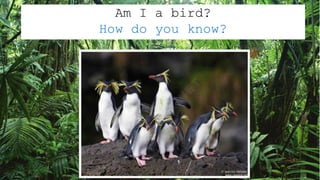 Am I a bird?
How do you know?
 