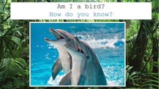 Am I a bird?
How do you know?
 
