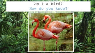 Am I a bird?
How do you know?
 