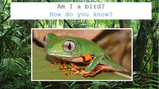 Am I a bird?
How do you know?
 