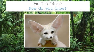Am I a bird?
How do you know?
 