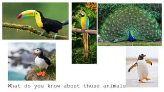 What do you know about these animals?
 