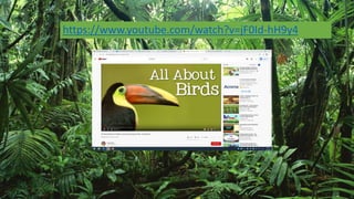 These animals are called Mammals.
https://www.youtube.com/watch?v=jF0Id-hH9y4
 