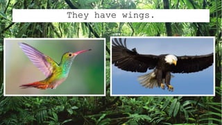 They have wings.
 