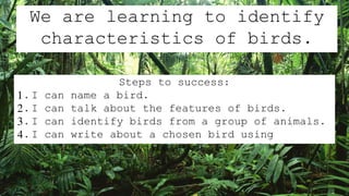 We are learning to identify
characteristics of birds.
Steps to success:
1. I can name a bird.
2. I can talk about the features of birds.
3. I can identify birds from a group of animals.
4. I can write about a chosen bird using
characteristic vocabulary.
 