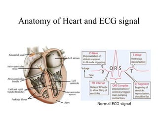 All About ECG | PDF