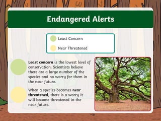 all-about-endangered-species-powerpoint_ver_5.pptx