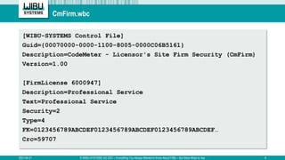 Everything You Always Wanted to Know About CodeMeter FSBs | PDF