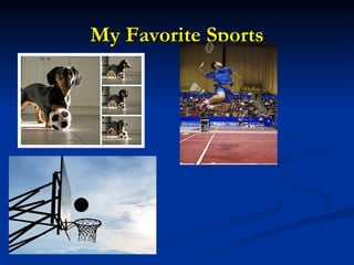 My Favorite Sports 