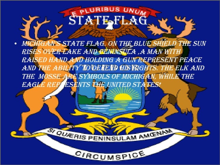 All About Michigan