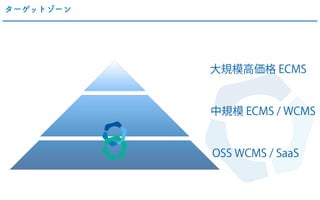 ターゲットゾーン
大規模高価格 ECMS
中規模 ECMS / WCMS
OSS WCMS / SaaS
 