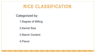 All-About-Rice-Update.pptx