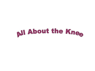 All About the Knee 