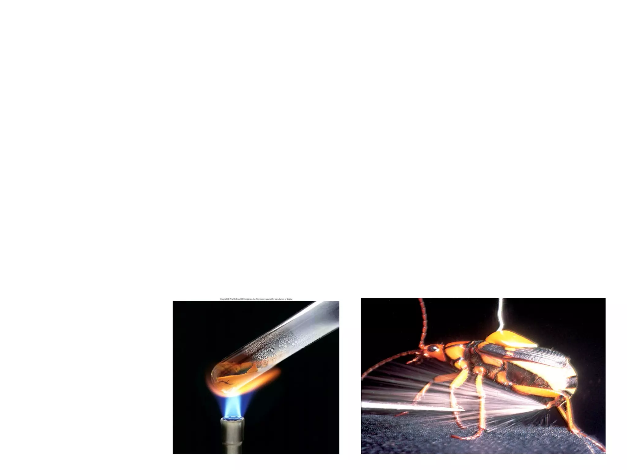 Chapter 6


Thermochemistry
 