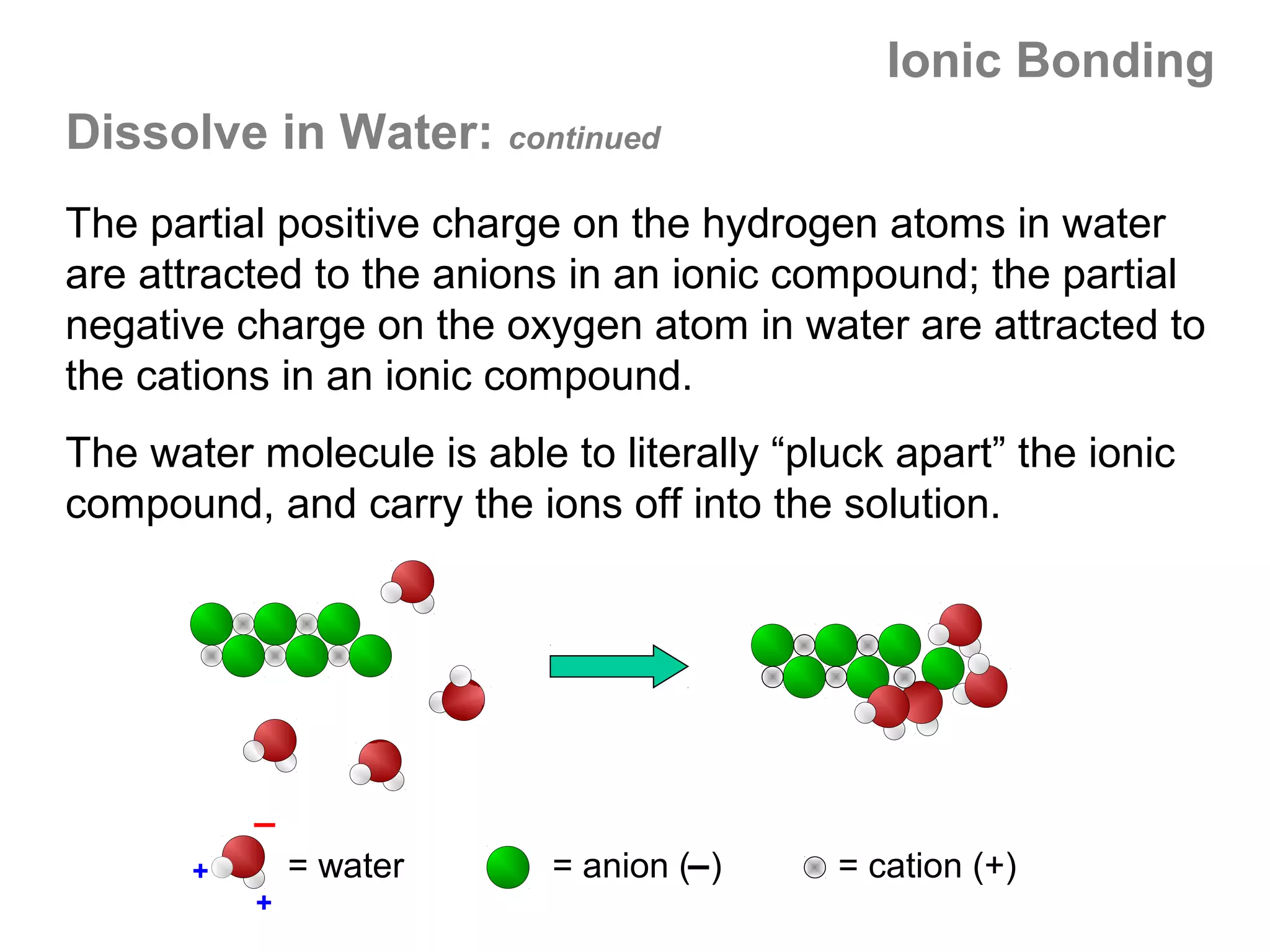 Ionic Bonding
Dissolve in Water: continued
The partial positive charge on the hydrogen atoms in water
are attracted to the anions in an ionic compound; the partial
negative charge on the oxygen atom in water are attracted to
the cations in an ionic compound.
The water molecule is able to literally “pluck apart” the ionic
compound, and carry the ions off into the solution.




       +       = water     = anion ( )     = cation (+)
           +
 