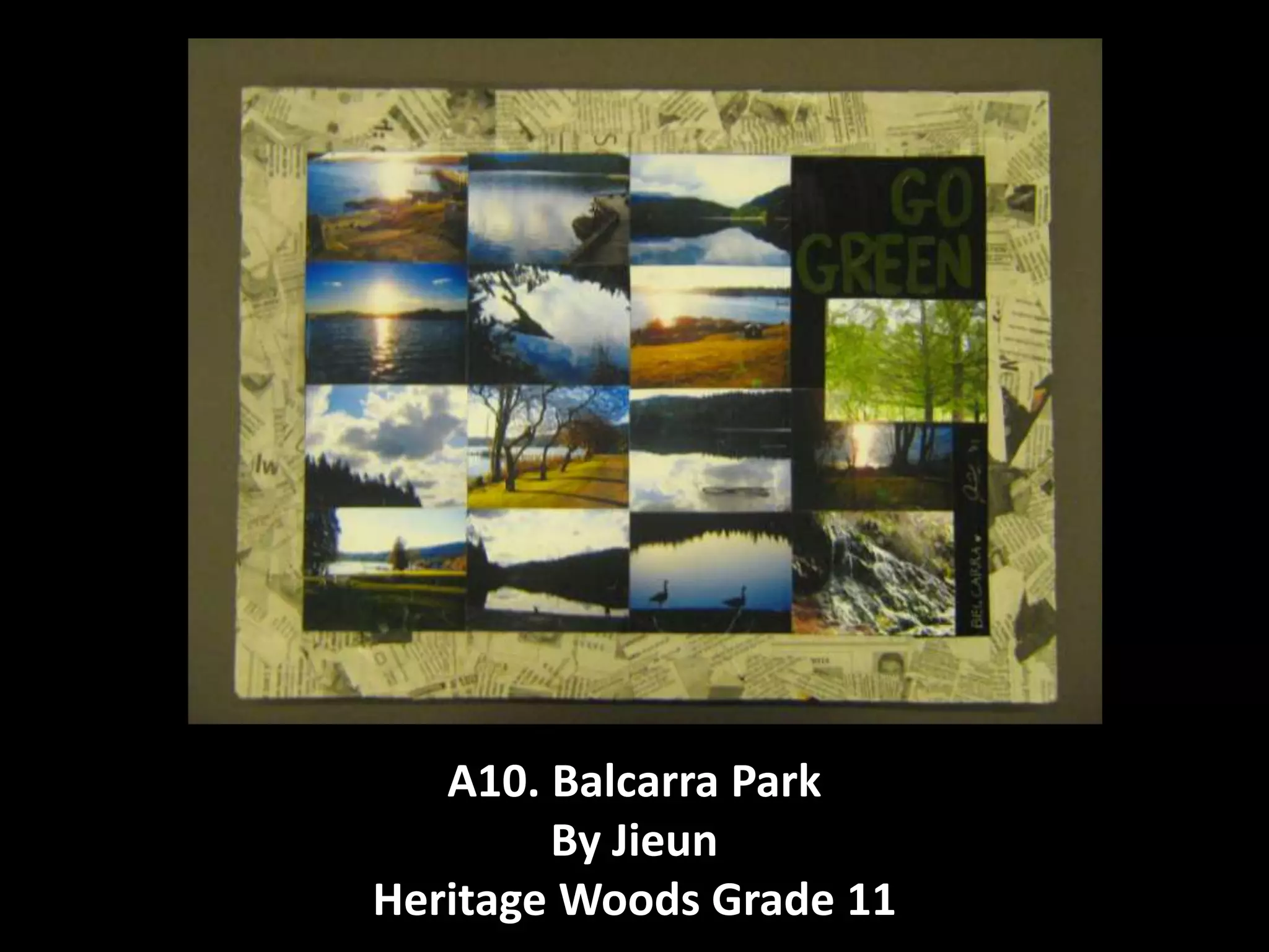 "Go Green" Festival Art Contributions