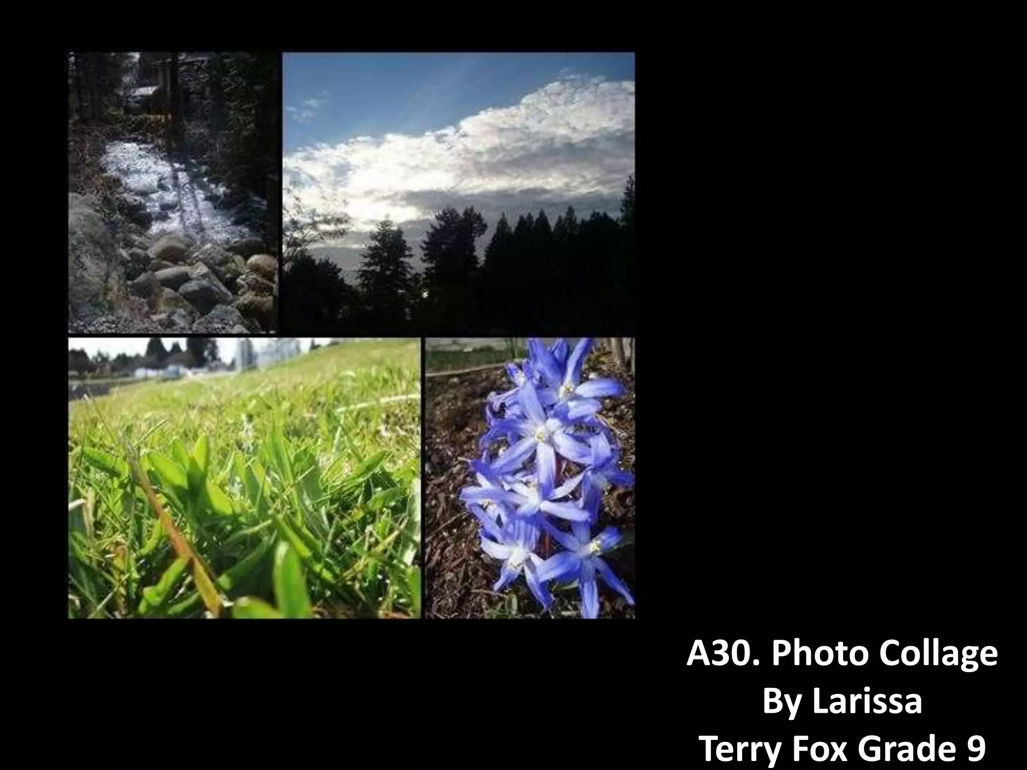 "Go Green" Festival Art Contributions