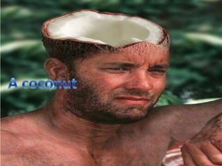 A coconut<br />
