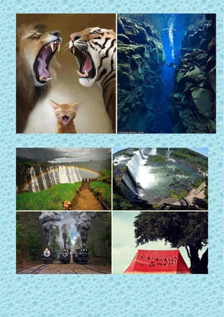 All in-one magazine n°2