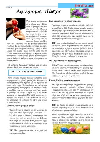 Ένα από τα πιο διαδεδο-
μένα έθιμα του Πάσχα
είναι το βάψιμο των αυ-
γών τη Μεγάλη Πέμπτη,
προχριστιανικό σύμβολο
της ζωής, ενισχυμένο με
τον συμβολισμό του κόκ-
κινου χρώματος από το
αίμα της θυσίας του Χρι-
στού και αποτελεί για το Πάσχα απαραίτητο
σύμβολο. Το αυγό συμβολίζει τον τάφο του Χρι-
στού που ήταν ερμητικά κλειστός - όπως το περί-
βλημα του αυγού, αλλά έκρυβε μέσα του τη
«Ζωή», αφού από αυτόν βγήκε ο Χριστός και α-
ναστήθηκε! Τα τελευταία χρόνια το αυγά βάφο-
νται σε διάφορα χρώματα, όμως η παράδοση τα
θέλει κόκκινα.
Η μαθήτρια Ραφαέλα Τσολάκη μας προτείνει
τρόπους βαφής των πασχαλινών αυγών:
Όλοι σχεδόν σήμερα έχουμε υιοθετήσει έναν
διαφορετικό, πιο φιλικό τρόπο ζωής. Είμαστε πιο
ευαισθητοποιημένοι σχετικά με τα τρόφιμα τα
οποία επιλέγουμε. Προσπαθούμε να επιλέγουμε
προϊόντα χωρίς συντηρητικά και πρόσθετες ουσί-
ες που βλάπτουν τον οργανισμό μας. Γιατί λοιπόν
να βάφουμε το Πάσχα τα αβγά μας με τα τοξικά
χρώματα του εμπορίου; Με απλά υλικά που υ-
πάρχουν στο ψυγείο ή στα ντουλάπια της κουζί-
νας μπορούμε να δώσουμε στα αβγά μας χρώμα
με φυσικό τρόπο.
Κόκκινο λάχανο για μπλε χρώμα.
Ψιλοκόβουμε το λάχανο και το βράζουμε σε
νερό, στο οποίο έχουμε ρίξει λευκό ξύδι. Μό-
λις πάρει μερικές βράσεις, αποσύρουμε την
κατσαρόλα από τη φωτιά και τη βάζουμε
στην άκρη να κρυώσει. Βυθίζουμε στο υγρό
τα ήδη βρασμένα αβγά και τα αφήνουμε μέχρι
να πάρουν τη σωστή απόχρωση.
TIP: Μπλε χρώμα αποκτούν και με χυμό από
«μαύρα» σταφύλια.
Σελίδα 9
ΕΝΤΥΠΟ-σεις
Αφιέρωμα: Πάσχα
Ξερά κρεμμύδια για κόκκινο χρώμα.
Βράζουμε σε μια κατσαρόλα τις φλούδες από ξερά
κρεμμύδια με ξίδι. Μόλις πάρει μερικές βράσεις,
αποσύρουμε την κατσαρόλα από τη φωτιά και α-
φήνουμε να κρυώσει. Βυθίζουμε τα ήδη βρασμένα
αβγά στο χρωματιστό νερό αρκετή ώρα, για να
αποκτήσουν βαθύ και πλούσιο χρώμα.
ΤΙΡ: Μια ωραία ιδέα διακόσμησης των αβγών εί-
ναι να κολλήσετε στην επιφάνειά τους αυτοκόλλη-
τα σε διάφορα σχήματα πριν τα βυθίσετε και τα
αφαιρείτε όταν στεγνώσουν. Επίσης τα αρχικά της
αλφαβήτου θα ήταν πολύ πρωτότυπο, αφού ο κα-
θένας θα έπαιρνε το αβγό με το αρχικό του.
Φύλλα μαϊντανού για πράσινο χρώμα.
Ψιλοκόβουμε τα φύλλα από ένα ματσάκι μαϊντα-
νό, ώστε να βγάλουν περισσότερους χυμούς. Τρί-
βουμε τα φυλλαράκια απαλά στην επιφάνεια των
ήδη βρασμένων αβγών. Αμέσως τα αβγά θα απο-
κτήσουν το χρώμα του γρασιδιού.
Κρόκος Κοζάνης για κίτρινο χρώμα.
Στο νερό που θα βάλουμε να βράσουν τα αβγά ρί-
χνουμε μερικές κλωστές κρόκου Κοζάνης
(σαφράν) και ξίδι. Μετά από 10’ αποσύρουμε την
κατσαρόλα από τη φωτιά. Βγάζουμε τα κίτρινα,
τώρα πια, αβγά προσεκτικά και τα αφήνουμε να
κρυώσουν και να στεγνώσουν, χωρίς να τα σκου-
πίσουμε.
ΤΙΡ: Αν θέλετε πιο απαλό χρώμα, μπορείτε να τα
βάψετε τρίβοντας τα με φλούδες πορτοκαλιού ή
πέταλα από κίτρινο χρυσάνθεμο.
Μόλις κρυώσουν τα αβγά μπορούμε να τα αλεί-
ψουμε με λίγο ελαιόλαδο για λάμψη. Καλό θα
ήταν τα αβγά που θα επιλέξετε να είναι λευκά, για
να είναι πιο έντονο το χρώμα τους.
ΦΥΣΙΚΟΙ ΤΡΟΠΟΙ ΒΑΦΗΣ ΑΥΓΩΝ
 